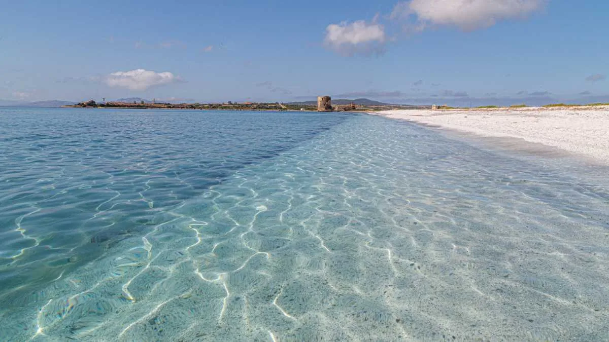 Spiaggia segreta della Sardegna con sabbia bianca e acque cristalline, immersa nella natura.